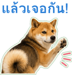 871417516