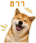 871417522