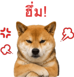 871417528