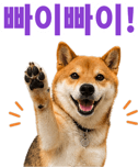 871434234
