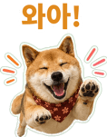 871434239