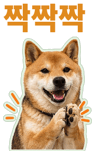 871434242