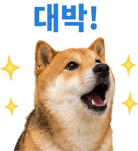 871434244