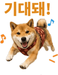 871434245