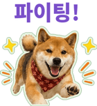 871434248