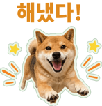 871434250