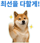 871434251