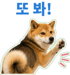 871434252