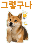 871434256