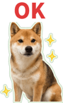 871434257