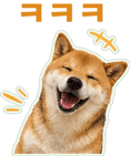 871434258