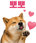 871434263