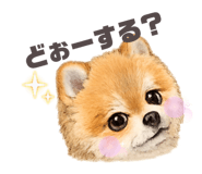 871455573