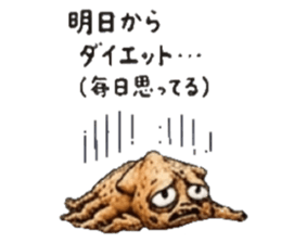 871466026