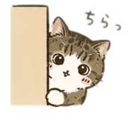 871483925