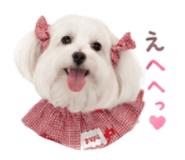 871487444