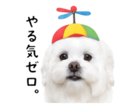 871487463