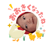 871516717