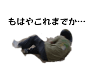 871541069