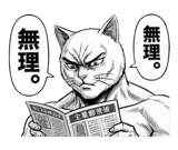 871561295