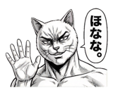 871561304