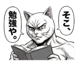 871561311