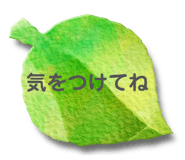 871561370