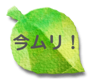 871561372