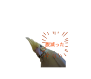 871561706