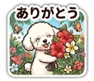 871562285