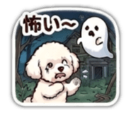 871562294