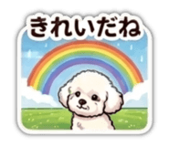 871562296