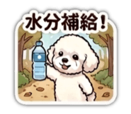 871562300