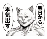 871562363