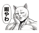 871562366