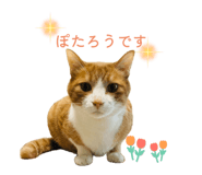 871562465