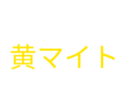 871562536