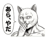 871562633