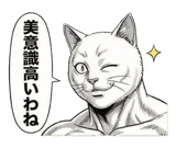 871562634