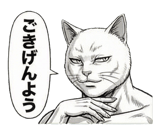 871562635