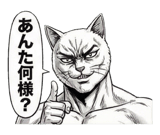 871562640