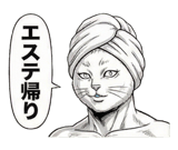871562642