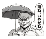 871562645