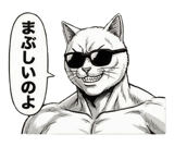 871562646