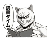 871562647