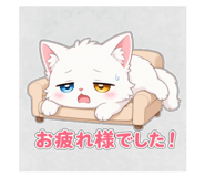 871562768