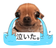 871562835