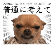 871562837