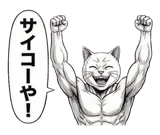 871562962