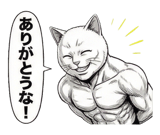 871562964